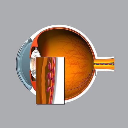 St Eriks Ögonsjukhus