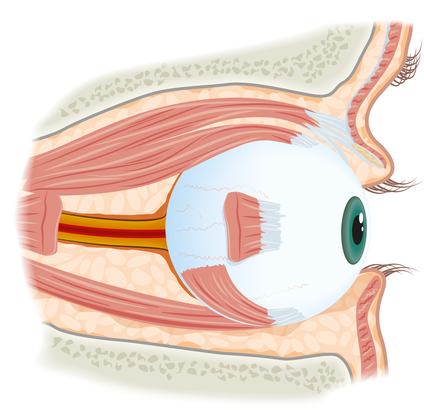 St Eriks Ögonsjukhus
