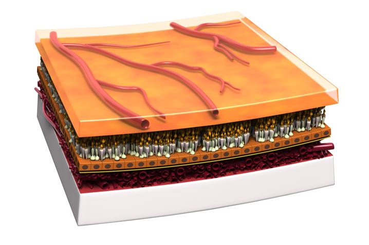 St Eriks Ögonsjukhus